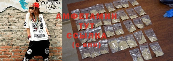 дживик Абаза